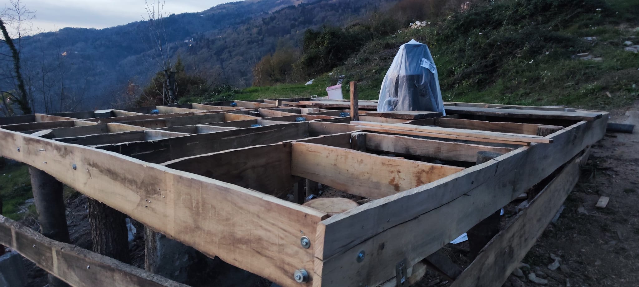 Immagine WhatsApp 2024-11-10 ore 19.38.26_62bb6180