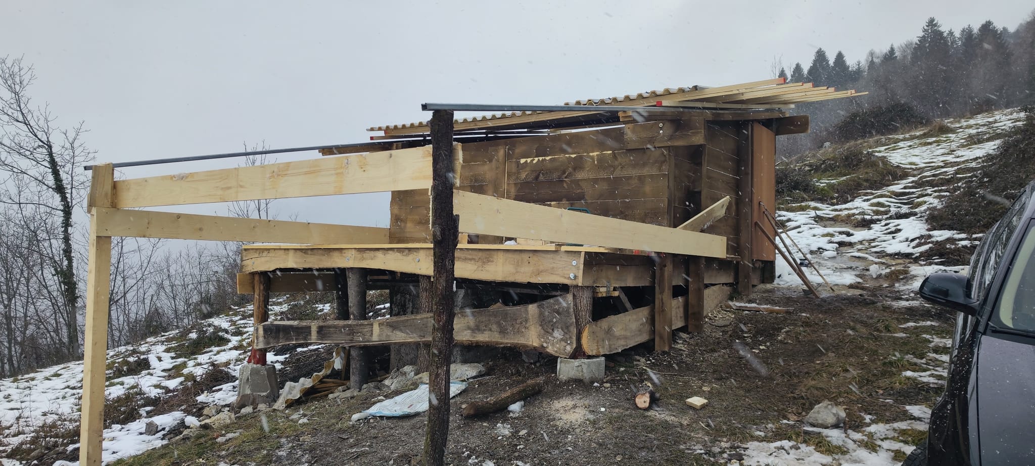 Immagine WhatsApp 2024-12-22 ore 16.25.22_37114209