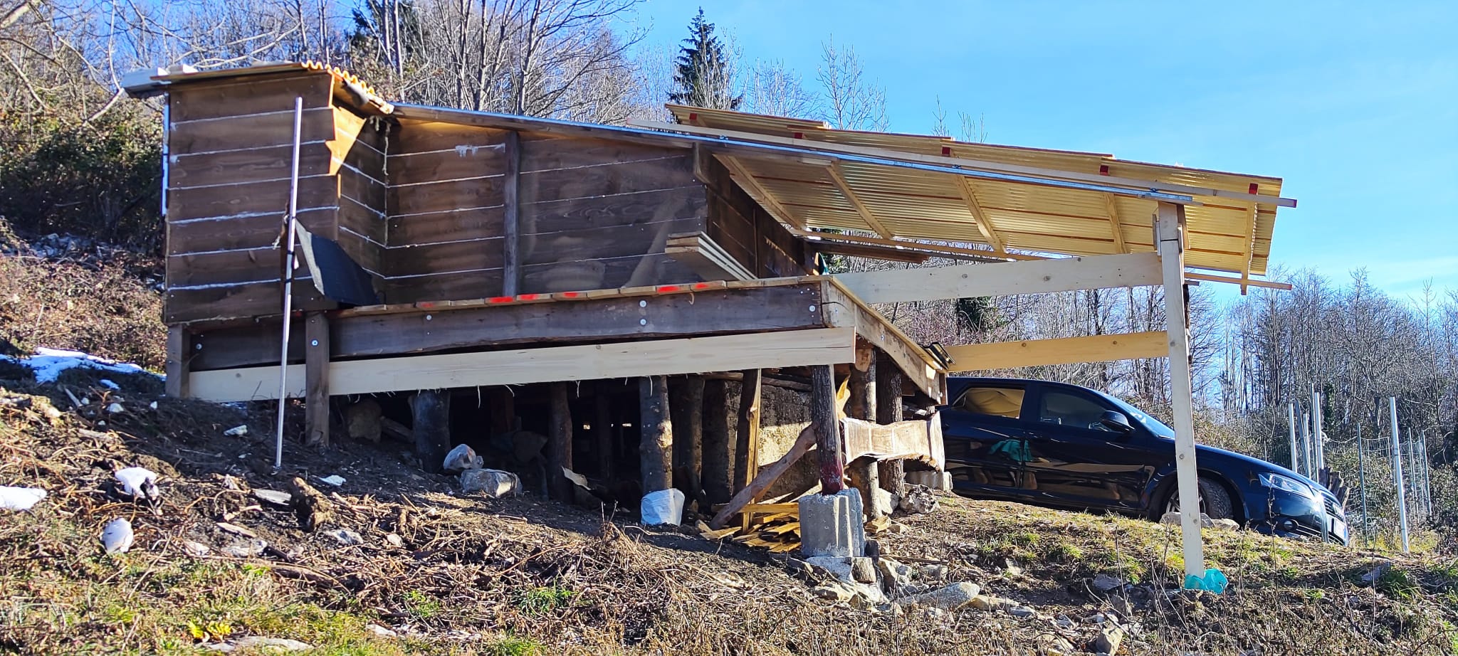 Immagine WhatsApp 2024-12-28 ore 14.33.41_4fdc89f7