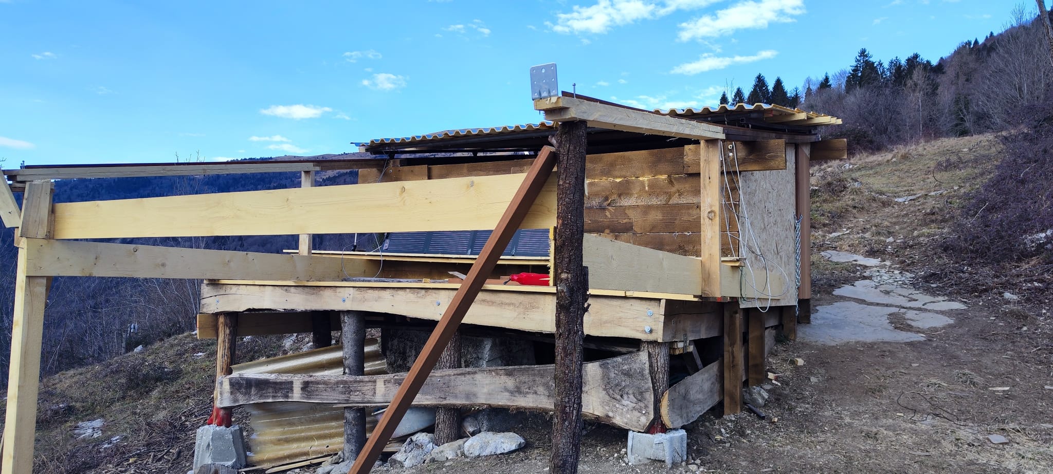 Immagine WhatsApp 2025-01-19 ore 15.12.43_1931ecb6