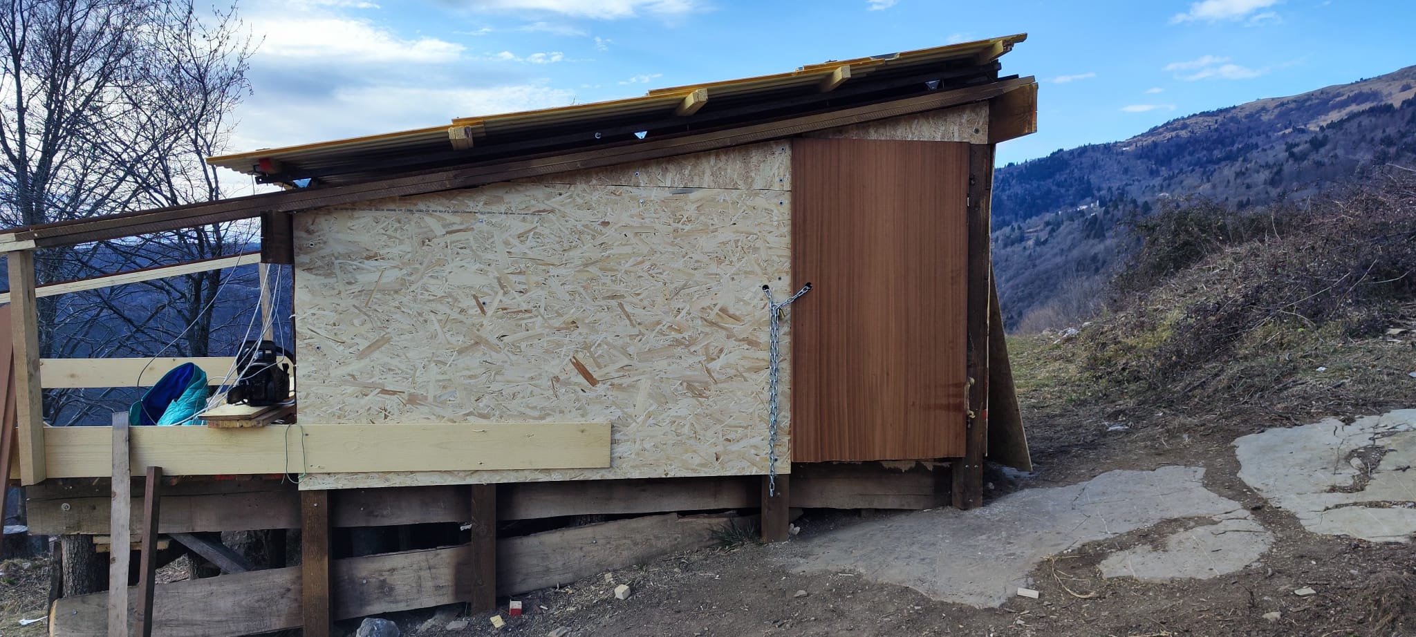 Immagine WhatsApp 2025-01-19 ore 15.12.43_dfc8c8aa