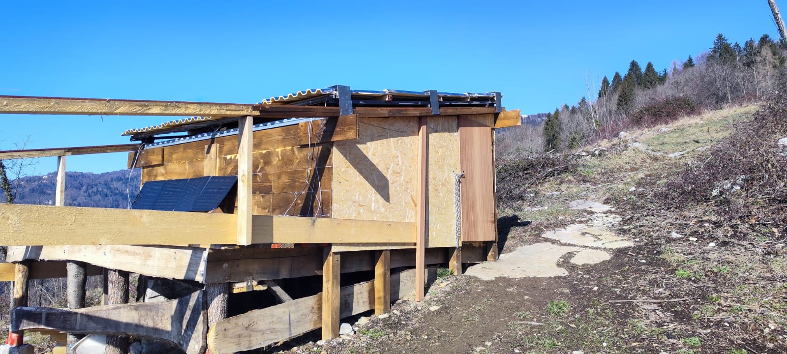 Immagine WhatsApp 2025-02-15 ore 19.56.15_32db9bff